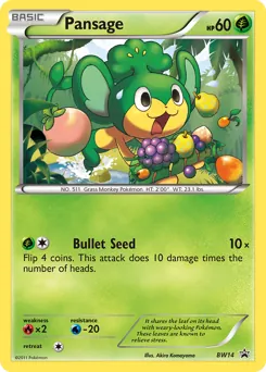 BW Black Star Promos Pansage Pokémon card